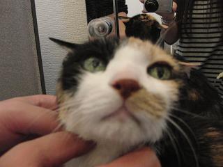 c0201113_2323153.jpg