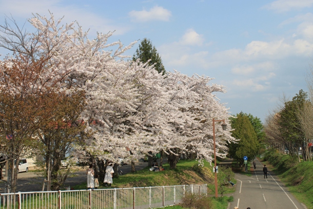 a0109914_264389.jpg