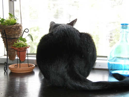 c0158916_9142751.jpg
