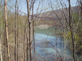 f0192117_2044519.jpg
