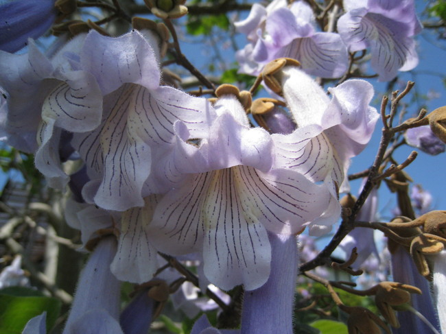 c0197220_925533.jpg