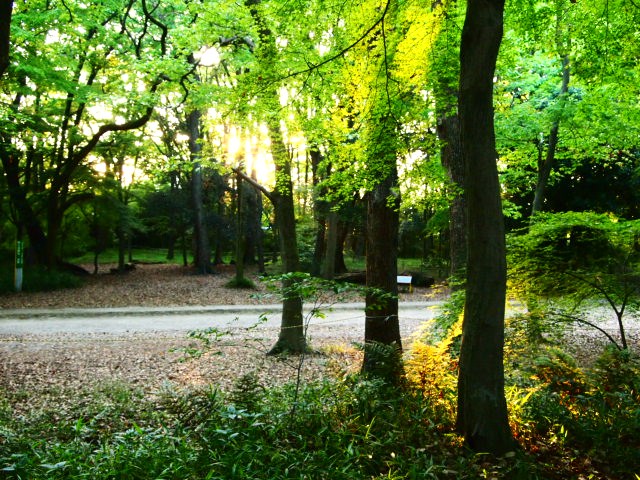 f0031722_0502080.jpg