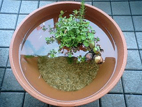 d0048332_7422174.gif