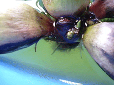 d0048332_742987.gif