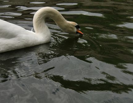 f0212733_0214978.jpg