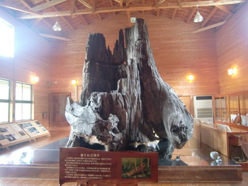 c0183137_2217489.jpg