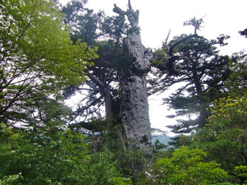 c0183137_2223076.jpg