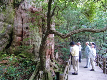 c0183137_22353850.jpg