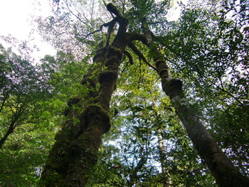 c0183137_2248778.jpg