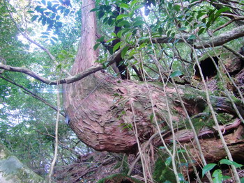 c0183137_22491232.jpg