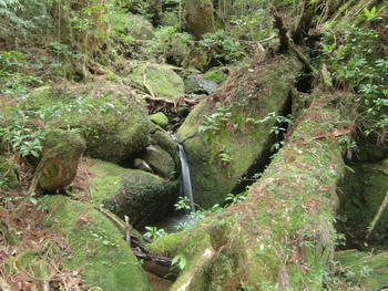 c0183137_22492492.jpg