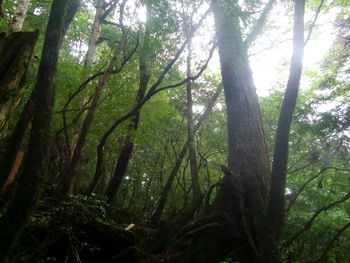 c0183137_2249437.jpg