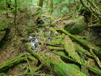 c0183137_22503625.jpg
