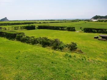 c0183137_23512.jpg
