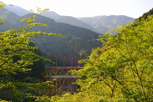 a0048040_226824.jpg