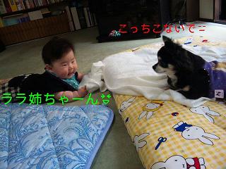 c0121141_22474730.jpg