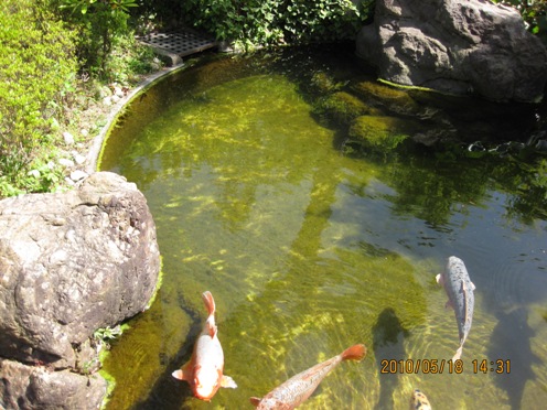 f0190942_18264030.jpg