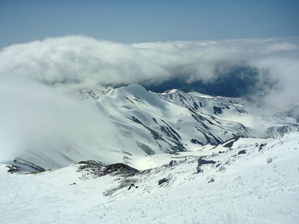 c0081645_222427.jpg