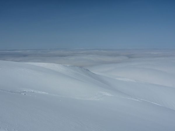 c0081645_22243994.jpg