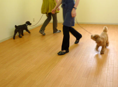 c0200246_2113375.jpg