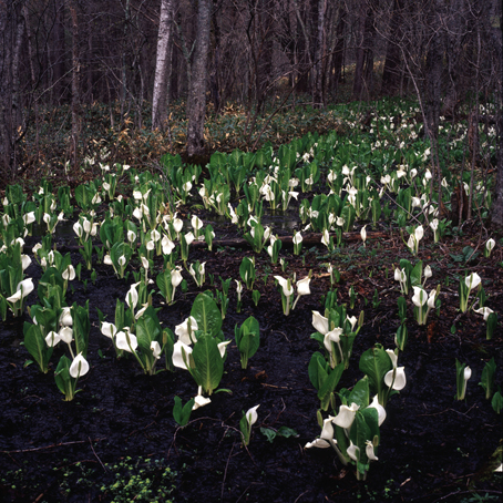 f0147048_21591799.jpg