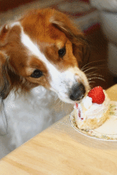 d0013149_920423.gif