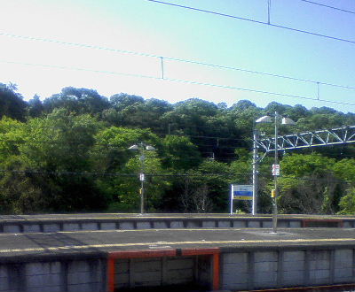d0063149_22392292.jpg