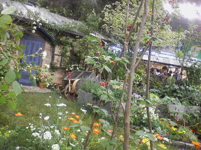 d0063149_22403456.jpg