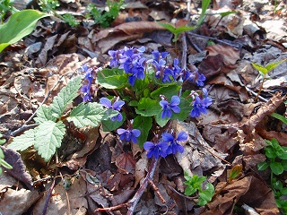 e0004756_2111688.jpg