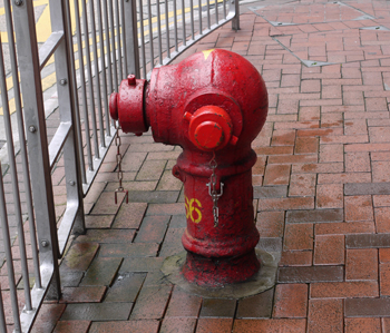 d0154257_22491346.jpg