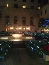 e0035257_1164191.jpg