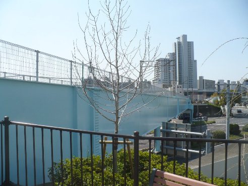a0063364_23105088.jpg