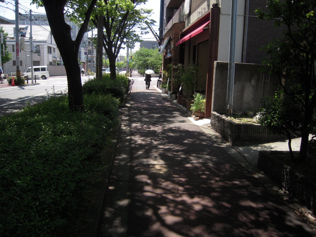 d0083265_1247025.jpg