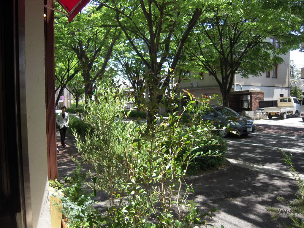 d0083265_13152874.jpg