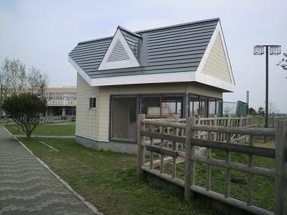 e0166066_1747156.jpg