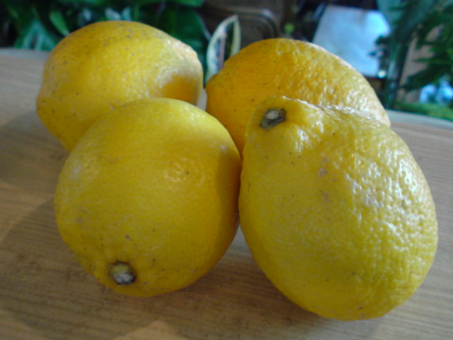 f0220768_15351040.jpg