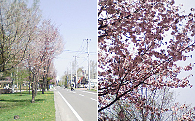 a0050669_1324397.jpg