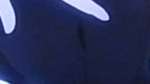 f0002172_1905793.jpg