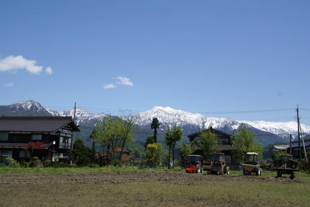 a0113874_2191786.jpg