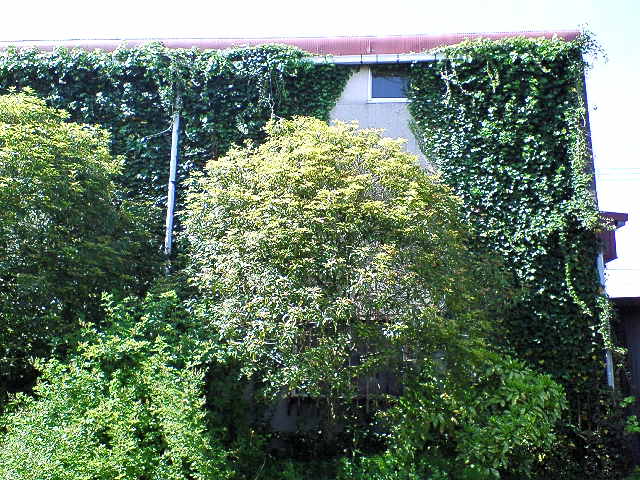 f0045776_8513660.jpg