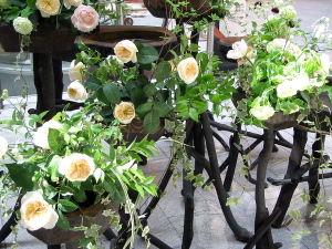 f0007380_237092.jpg