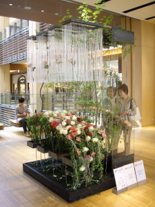 f0007380_2483553.jpg