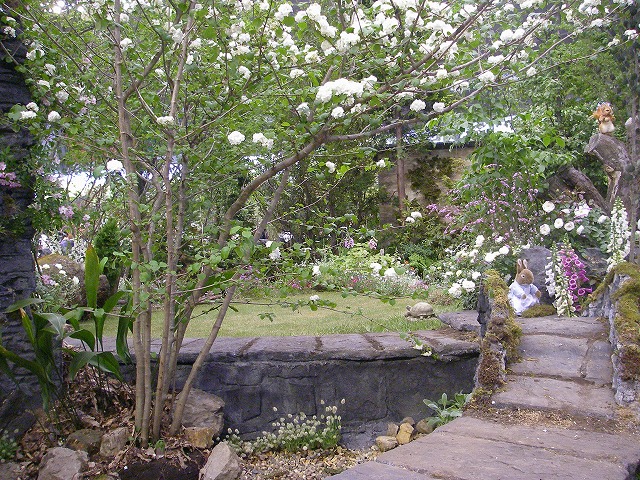 d0050290_23343372.jpg