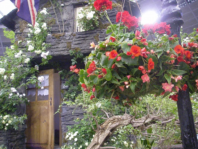 d0050290_23344925.jpg