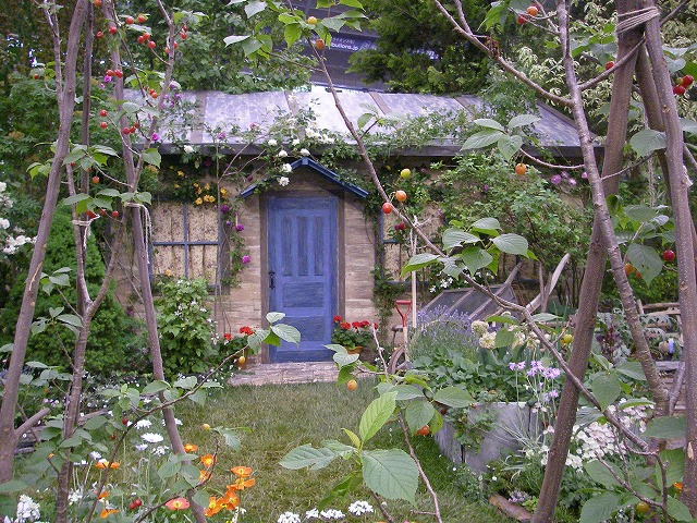 d0050290_2335437.jpg