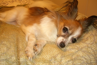 f0234892_2328412.jpg