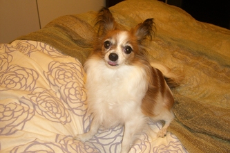 f0234892_23354877.jpg