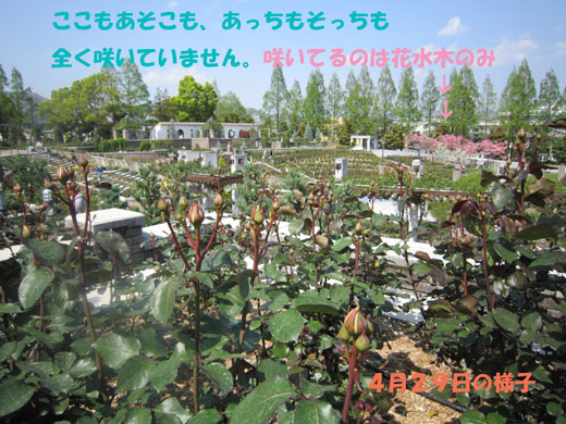 e0125894_005013.jpg