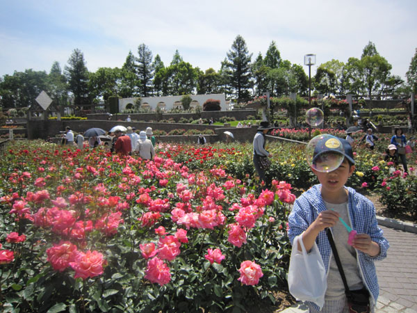e0125894_0323010.jpg