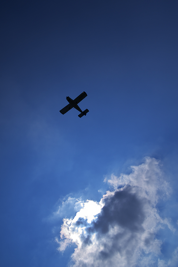 d0146295_0501445.jpg